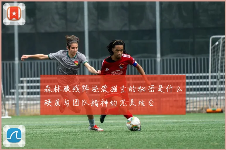 森林狼残阵逆袭掘金的秘密是什么硬度与团队精神的完美结合