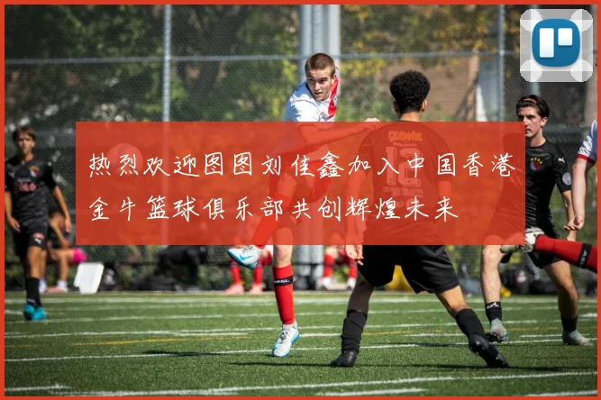 热烈欢迎图图刘佳鑫加入中国香港金牛篮球俱乐部共创辉煌未来